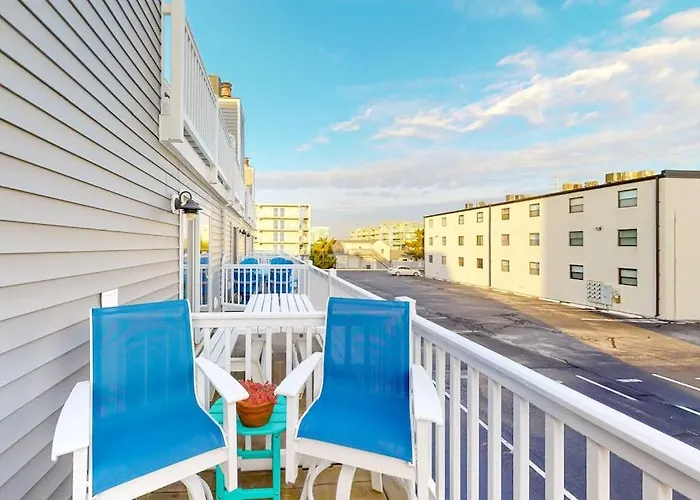 Cinnamon Teal 10 Ocean Stadt